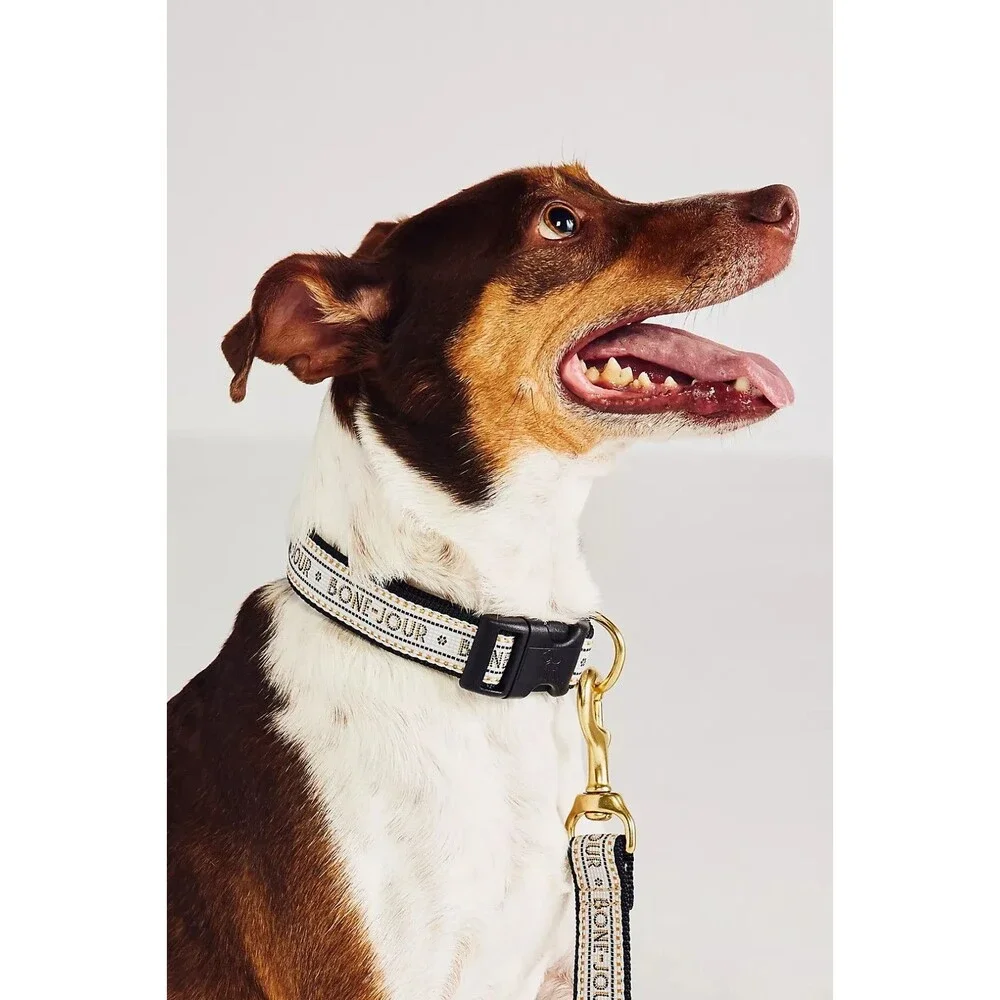 Anthropologie The Bistro Tile Dog Collar Sz S BONE JOUR NWT